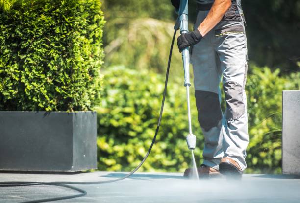 Best Fence Cleaning  in Romeovle, IL